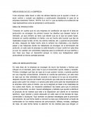 ÁREAS BÁSICAS DE LA EMPRESA (EJEMPLO DE UN CASO)