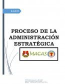 Proceso de la Administracion Estrategica. VISIÓN INSTITUCIONAL