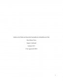 Análisis de la Política de Desarrollo Sustentable de la República de Chile