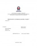 PRESUPUESTO Y CONTROL DE GESTION: “MAMUT