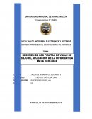 Resumen de PIRATAS DE VALLE DE SELLICON