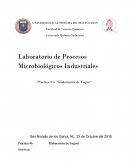 Practica # 6 “Elaboración de Yogurt”