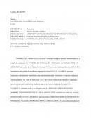 Modelos demandas ejecutivas laborales