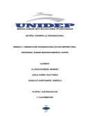 COMUNICACIÓN ORGANIZACIONAL EN UNA EMPRESA REAL