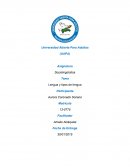 Sociolingüística - Lengua y tipos de lengua
