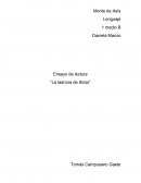 Ensayo La ladrona de Libros