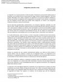 Inmigrantes y derecho a voto Sebastián Salazar