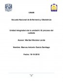 Enfermería - El proceso del cuidado