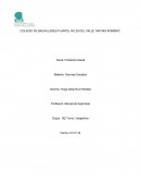 Problema social con metodo cientÍfico