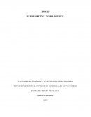 NEUROMARKETING Y NEUROLINGUISTICA