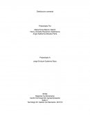 TALLER ESTABLECIMIENTO COMERCIAL