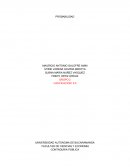 UNIVERSISDAD AUTONOMA DE BUCARAMANGA FACULTAD DE CIENCIAS Y ECONOMIA CONTADURIA PÚBLICA