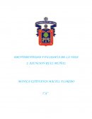 Unidad de Identidad y filosofía