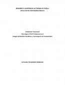 Orientación Vocacional Para elegir el Perfil Profesional en el Colegio de Estudios Científicos y Tecnológicos de Tecamachalco