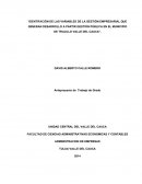 IDENTIFACIÓN DE LAS VARIABLES DE LA GESTIÓN EMPRESARIAL