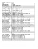 Huesos, músculos y articulaciones