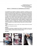 PRÁCTICA 1. SEPARACIÓN DE LOS COMPONENTES DE UNA MEZCLA