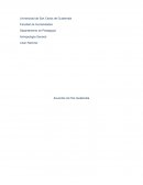 Acuerdos de Paz Guatemala