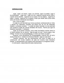 Jugar.Pero ¿Qué es jugar?