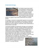 Como es uqe se da la Contaminación del agua