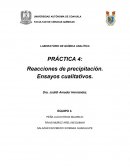 Cuales son las Reacciones de precipitación. Ensayos Cualitativos.