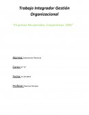Trabajo de Gestion Organizacional