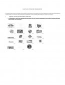 COMO SE DA LA ECUESTA DE OPINION DE COMIDA RAPIDA