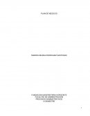 Plan de negocio de una empresa dedicada a la prestación de servicios de diseño de jardinería y paisajismo