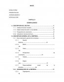 Informe y su estructura