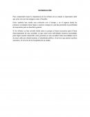 IMPORTANCIA DE LOS TRIBUTOS DE UN ESTADO