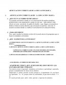ARTICULACION CURRICULAR DE LA EDUCACION BASICA