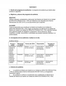 Diseño del programa de auditorías1: el programa de auditoría que diseñe debe contener