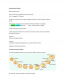 Especialización Celular