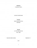 Tutela Constitución Política