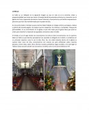 Las categorias esteticas y la belleza