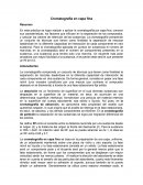 Cromatografia en capa fina sus características