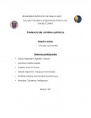 Quimica. Evidencia de cambios químicos
