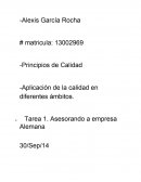 Asesorando empresa alemana