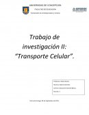 Transporte pasivo y activo