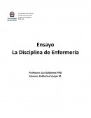 La Disciplina de Enfermería