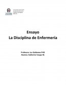 La Disciplina de Enfermería