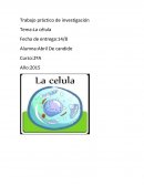 Trabajo práctico de investigación Tema:La célula