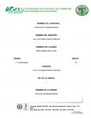 Analogica hombre maquina