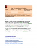 Cuadro de Contenidos básicos de Geografía