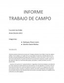INFORME TRABAJO DE CAMPO