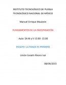 La panza en Primero mas que nada TECNOLÓGICO NACIONAL DE MÉXICO