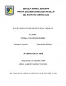 SAN FRANCISCO DE CAMPECHE, CAMPECHE A 04 DE NOVIEMBRE DE 2015