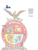 Proyecto de innovación educativa en escuela primaria