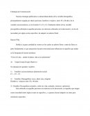 Estrategia de Comunicación - Nuestra estrategia publicitaria