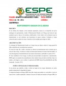 El nuevo Mantenimiento Basado en el Riesgo